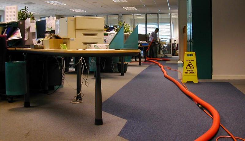 commercial-carpet-dry-cleaning dry cleaing commercial carpet